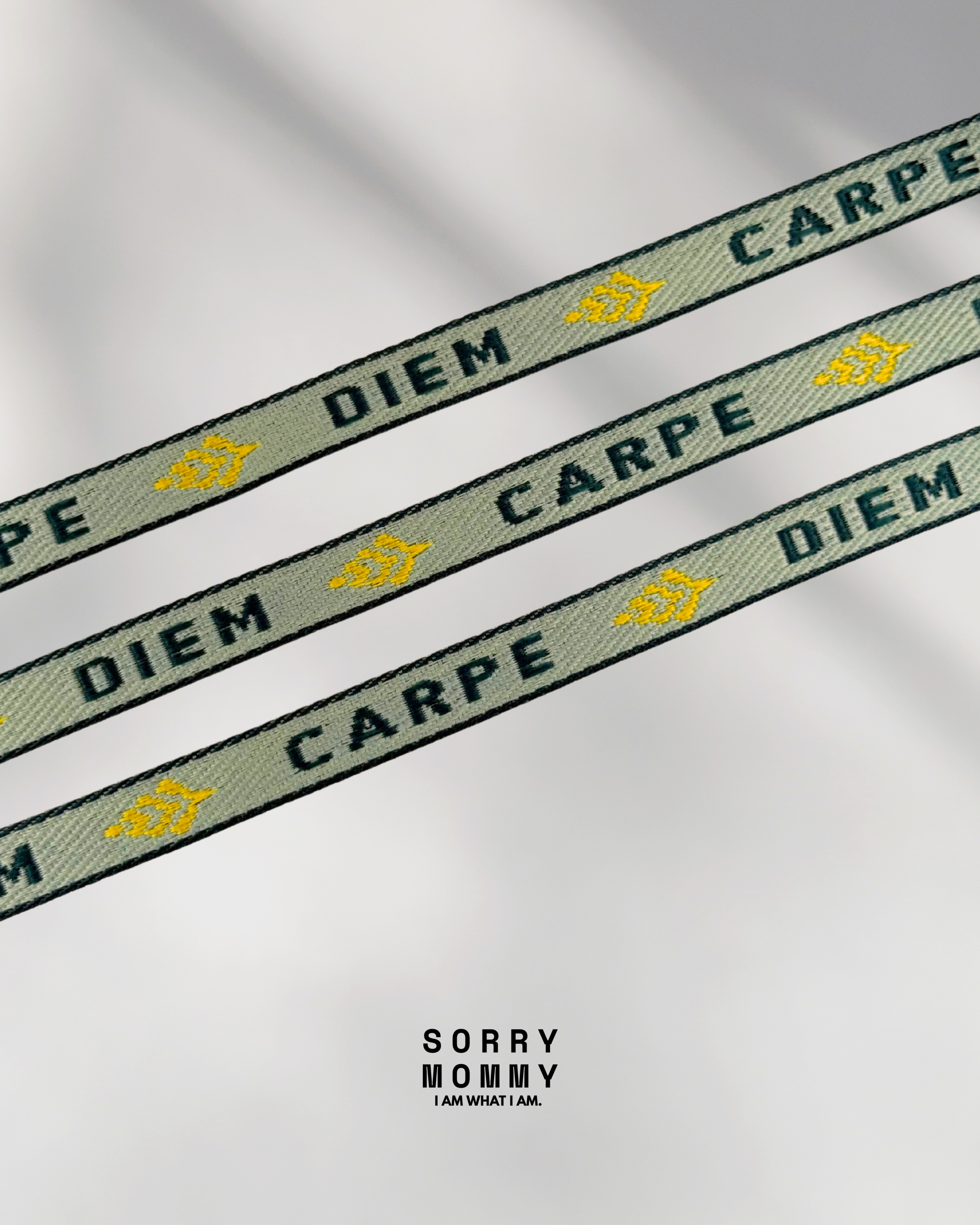 BRACELET RUBAN | Carpe Diem